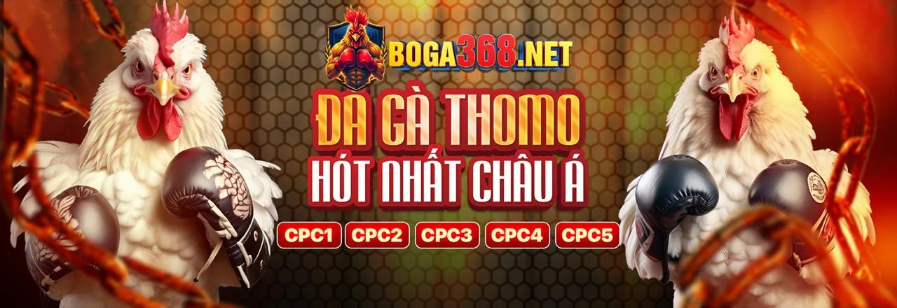 Đá gà trực tiếp kịch tính tại ev888 trang chủ chính thức