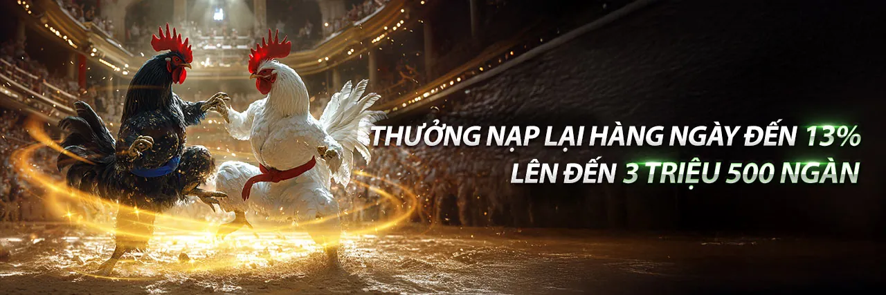 Cập nhật tin tức mới nhất từ ev888 trang chủ chính thức